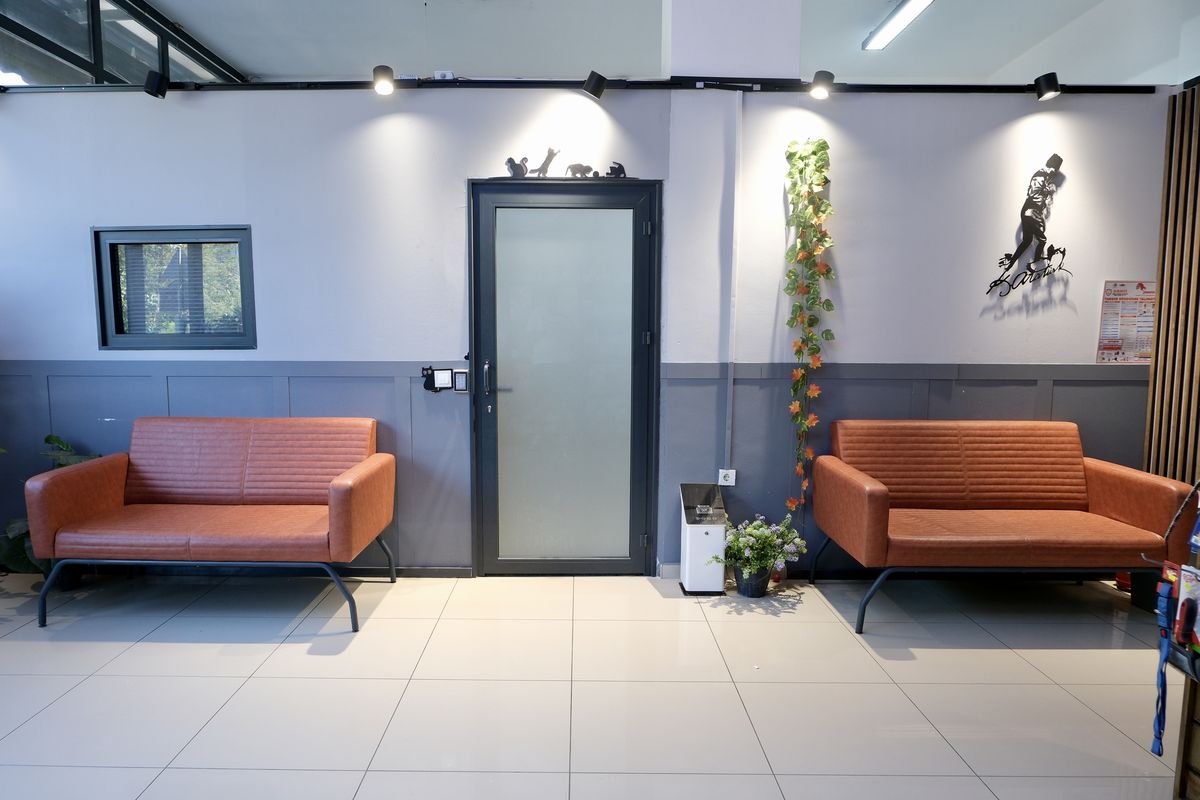 Kliniğin bekleme salonu ve oturma alanı