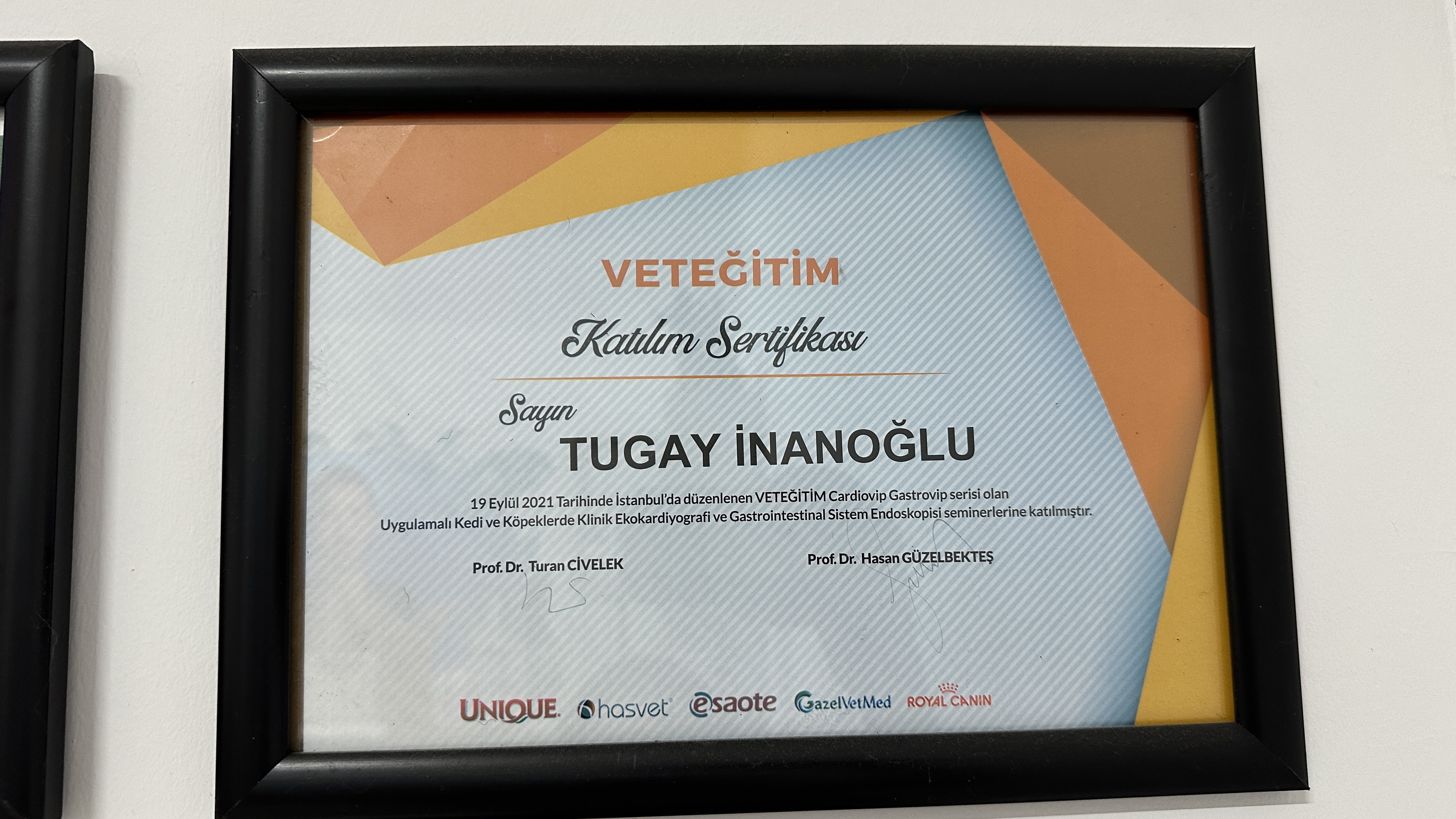 VETEĞİTİM Cardiovip Gastrovip serisi uygulamalı seminer katılım sertifikası, 19 Eylül 2021 İstanbul