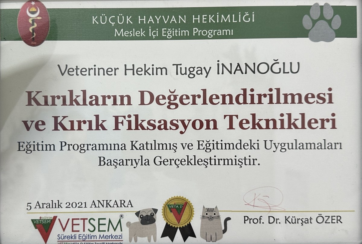 VETSEM meslek içi eğitim programı sertifikası, kırık değerlendirme ve fiksasyon teknikleri, 5 Aralık 2021 Ankara
