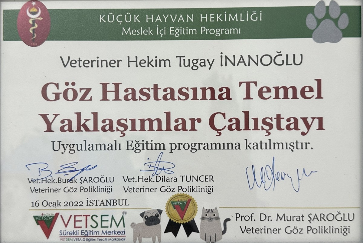 VETSEM göz hastasına temel yaklaşımlar uygulamalı çalıştay sertifikası, 16 Ocak 2022 İstanbul